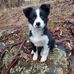 Debbie Beswick - Facebook