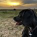 Debbie Beswick - Facebook