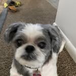 Deborah Beswick - @debbie.beswick68 - Instagram