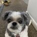 Deborah Beswick - Facebook
