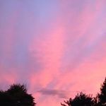Deborah Beswick-Cousins - @debbeswickcousins - Instagram