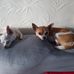 Deborah Beverly - Facebook