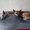 Deborah Beverly - @deborah.beverly8 - TikTok