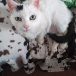 Déborahbeverly Moncheaux - @deborahbeverlymoncheaux - Instagram