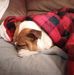 Debra Bicknell Huddleston - Facebook