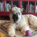 Deborah Biddle - @littlebiddle3 - Instagram