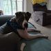 Debra Biddle - Facebook