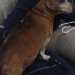 Deborah Bigbee - Facebook