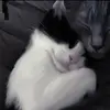 Big Deborah - @biggy.deborah - TikTok
