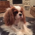 Debra Bigler - @debra.bigler - Instagram