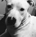 Deborah Bilbrey - Facebook