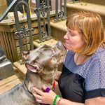 Deborah Bingham - @dbinghamrn - Instagram