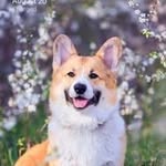 Deborah Bingham - @bingham.deorah05 - Instagram