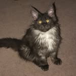 Deborah Bird - @bird7001 - Instagram