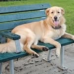 Deborah Bird - @deborah.bird.56884 - Instagram