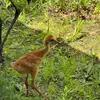 Deborah Bird - @deborah.bird2 - TikTok