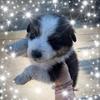 deborahbescoby - @deborahbescoby - TikTok