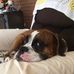 Deborah Bissonette - Facebook