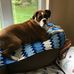 Deborah Bissonette - Facebook
