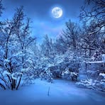Deborah M. Bissonnette - Facebook