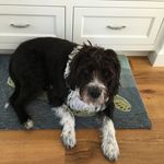 Deborah Blackman - @dhblackman - Instagram