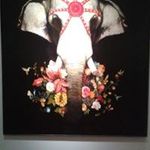 Deborah Blakeslee - @deborahblakeslee - Instagram