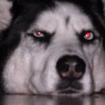 Deborah Blanche Ragsdale - @brags226 - Instagram