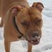 Deborah Blanchette - Facebook