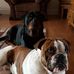 Deborah Bland - Facebook
