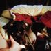 Debbie Blewitt - Facebook