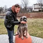 Deborah Bosley - @bosley2521 - Instagram