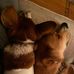 Deborah Bowden - Facebook