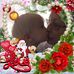 Deborah Bowden - Facebook