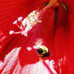 Deborah Branch - @deborahjbranch - Instagram