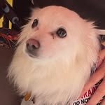 Deborah Bratcher - @bratcher7422 - Instagram