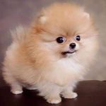 Deborah Jean Brewington - @deborahbrewington19 - Instagram
