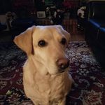 Deborah Broderick - @dsbroderick0234 - Instagram