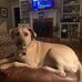 Deborah Broussard - Facebook