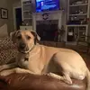 deborahbroussard05 - @deborahbroussard05 - TikTok