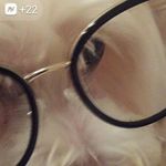 Deborah Broyles - @sam_ben1947 - Instagram