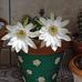 Deb Birkett - Facebook