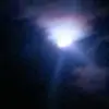 Deborah Burnham - @deborah.burnham1 - TikTok