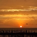 Deborah Decker Burrell - @deb.burrell - Instagram