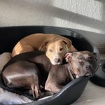 Déborah Bury - @deby_debo_b - Instagram