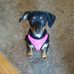 Deborah Calabro - Facebook