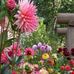 Deborah Calabro Private Page - Facebook