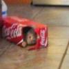 Deborah Calhoun - @deborah.calhoun1 - TikTok