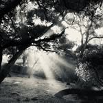 Deborah Call - @deborahcallstudio - Instagram