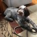 Deborah Call - Facebook