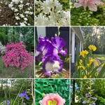 Deborah Call Pace - @debjcall - Instagram
